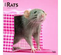 Rats 2026 12 X 24 Inch (Hanging) Monthly Square Wall Calendar Plastic-Free