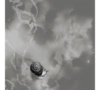 Rats On Rafts Deep Below (Grey) (Vinyl LP)