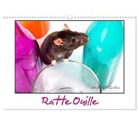 Ratte Ouille (Calendrier mural 2026 DIN A3 vertical), CALVENDO calendrier mensuel: Gentille muridée