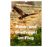 Raub- und Greifvögel im Flug (Wandkalender 2026 DIN A3 hoch), CALVENDO Monatskalender: Faszinierende Raub- und Greifvögel in der Luft beobachtet