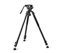 RAUBAY Treppiede per videocamera da 179,8 cm, supporto resistente con panoramica a 360° e testa fluida inclinabile a 165°, base ciotola da 75 mm, gambe a tubo singolo in alluminio, piastra QR, carico