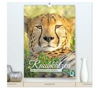 Raubkatzen: Die Jäger auf leisen Pfoten (hochwertiger Premium Wandkalender 2026 DIN A2 hoch), Kunstdruck in Hochglanz: Sprungkraft, Eleganz und Schönheit: Jaguar, Löwe und Tiger