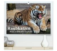 Raubkatzen. Wild, schön und kraftvoll (hochwertiger Premium Wandkalender 2026 DIN A2 quer), Kunstdruck in Hochglanz: Die schönsten Raubkatzen in tollen Bildern