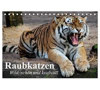 Raubkatzen. Wild, schön und kraftvoll (Tischkalender 2026 DIN A5 quer), CALVENDO Monatskalender: Die schönsten Raubkatzen in tollen Bildern