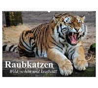 Raubkatzen. Wild, schön und kraftvoll (Wandkalender 2026 DIN A2 quer), CALVENDO Monatskalender: Die schönsten Raubkatzen in tollen Bildern