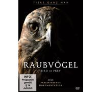Raubvögel - Bird of Prey