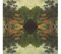 Rauelsson Siembra La Espera Y La Cosecha (Vinyl LP)