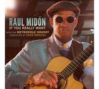 Raul Midon - If You Really Want [with the Metropole Orkest, conducted by Vince Mendoza]