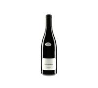 Raúl Pérez Pico Ferreira 2019