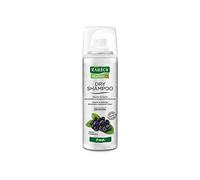 Rausch Dry Shampo Fresh dona volume e freschezza ai capelli chiari e scuri, dimensione da viaggio, confezione da 1 (1 x 50 milliliters)