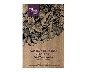 Ravanello 'French Breakfast' (Raphanus sativus) - circa 300 semi