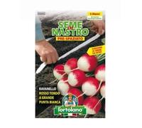 Ravanello gigante Seme a nastro