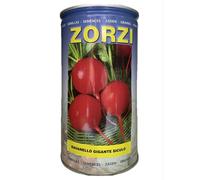 Ravanello gigante siculo da gr. 500