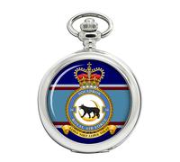 Ravel 34 Squadron RAF Orologio Da Tasca Quarzo Argento Catenina Hunter