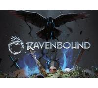 Ravenbound (PC) Steam Key - LATIN AMERICA