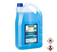 Ravenol Antigelo Per Vetri Concentrato Con Profumo Di Agrumi 5000Ml