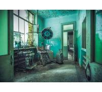 Ravensburger 12000177 - L'Ospedale Psichiatrico - puzzle 1000 pezzi - puzzle adulti e ragazzi da 14 anni, puzzle lost places