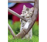 Ravensburger 12000232 - Gattini - puzzle 2x500 pezzi - puzzle adulti e ragazzi da 12 anni,