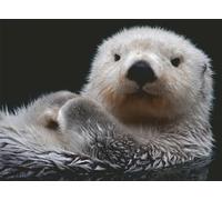 Ravensburger 12000235 - Piccola dolce nutria - puzzle 500 pezzi - puzzle adulti e ragazzi da 12 anni,