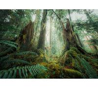 Ravensburger 12000292 - Boschi - puzzle 1000 pezzi - puzzle adulti e ragazzi da 14 anni, puzzle natura, puzzle paesaggio