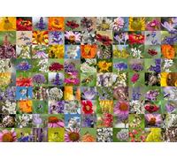 Ravensburger 12000617 - 99 api - puzzle 1000 pezzi - puzzle adulti e ragazzi da 14 anni,