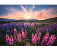 Ravensburger 12000688 - cascate del Niagara - puzzle 1000 pezzi - puzzle adulti