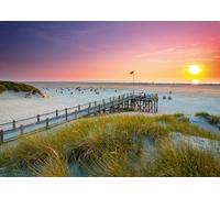 Ravensburger 12000690 - Tramonto su Amrum - puzzle 1000 pezzi - puzzle adulti e ragazzi da 14 anni, puzzle spiaggia