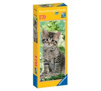 Ravensburger - 15123 3 - Puzzle Panorama Verticale 170 Pezzi - Gattino