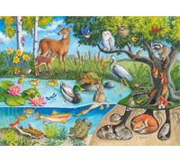 Ravensburger Animali sopra e sotto - Puzzle da 60 pezzi per bambini | Esplora gli strati della natura | Promuove le abilità di risoluzione dei problemi | Materiali certificati FSC