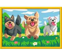 Ravensburger CreArt 12023135 - Dipingere con i Numeri per Bambini dai 11 Anni in su, Set da Pittura con Cornice, Pennello e Colori acrilici, Regalo per Ragazze e Ragazzi