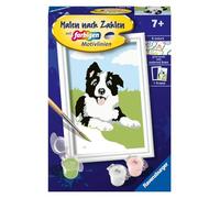 Ravensburger CreArt 23759 - Cucciolo di Border Collie - Cane dipinto con numeri per bambini dai 7 anni in su, set di pittura con cornice, pennello e colori acrilici, regalo per ragazze e ragazzi