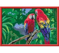 Ravensburger CreArt 23770 - Pappagalli colorati, dipinto con numeri per bambini dai 9 anni in su, set di pittura con cornice, pennello e colori acrilici, regalo per ragazze e ragazzi