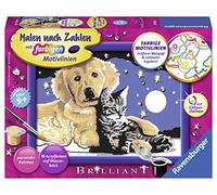 Ravensburger CreArt 28016 - Sparkling Starry Sky - Dipinto con numeri Cane e gatto dai 9 anni in su, set per dipingere con cornice, pennello e colori acrilici