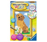 Ravensburger – Set pittura a numeri – Piccolo Golden Retriever – Istruzioni in tedesco – 1 pz