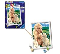 RAVENSBURGER CREART PER BAMBINI, KIT PER DIPINGERE CON I NUMERI, 7+, SERIE D, RETRIEVER SUL PRATO