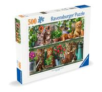 Ravensburger 12000205 - Gatti sullo scaffale - puzzle 500 pezzi - puzzle adulti e ragazzi da 12 anni, puzzle animali