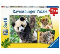 Puzzle Panda, Tigre e Leone
