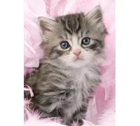 Ravensburger- MGL Puzzle per Adulti, 12000077