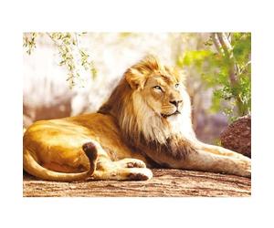 Ravensburger- Nathan Puzzle per Adulti, 12000951