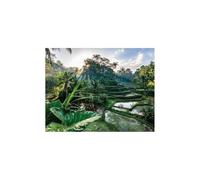 Ravensburger- Nathan Puzzle per Adulti, 2000 pièces, 98 x 75 cm, 12001518