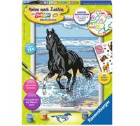 Ravensburger Spieleverlag Pferd am Strand. Malen nach Zahlen Serie D Pferde: Mit Pferde Stickerbogen!
