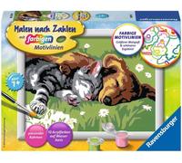 Ravensburger Painting by Numbers con Linee Colorate - Sonno Profondo (CONFEZIONE E ISTRUZIONI IN TEDESCO) - 1 pz.