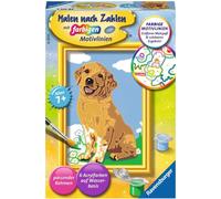 Ravensburger Painting by Numbers - Piccolo Golden Retriever (CONFEZIONE E ISTRUZIONI IN TEDESCO) - 1 pz.