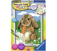 Ravensburger Painting by Numbers - Un Tenero Coniglietto (CONFEZIONE E ISTRUZIONI IN TEDESCO) - 1 pz.