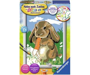 Ravensburger Painting by Numbers - Un Tenero Coniglietto (CONFEZIONE E ISTRUZIONI IN TEDESCO) - 1 pz.