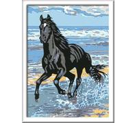 Ravensburger Spieleverlag Pferd am Strand. Malen nach Zahlen Serie D Pferde: Mit Pferde Stickerbogen!