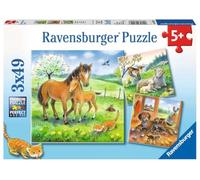 Ravensburger Puzzle 08029 - Coperta di Tempo