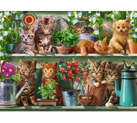 Ravensburger 12000205 - Gatti sullo scaffale - puzzle 500 pezzi - puzzle adulti e ragazzi da 12 anni, puzzle animali