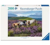 Ravensburger Wild Horses 2000p (12001751) Puzzle Multicolor Bambini