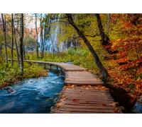 Erwachsenenpuzzle 1000 Teile - Herbstlicher Waldweg: Beautiful Walkways